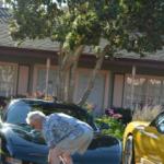 Cambria_0229 (November 04, 2012)